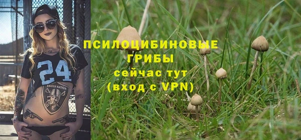 сатива Абинск