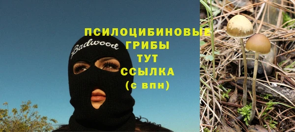 mix Корсаков